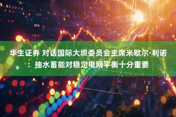 华生证券 对话国际大坝委员会主席米歇尔·利诺：抽水蓄能对稳定电网平衡十分重要